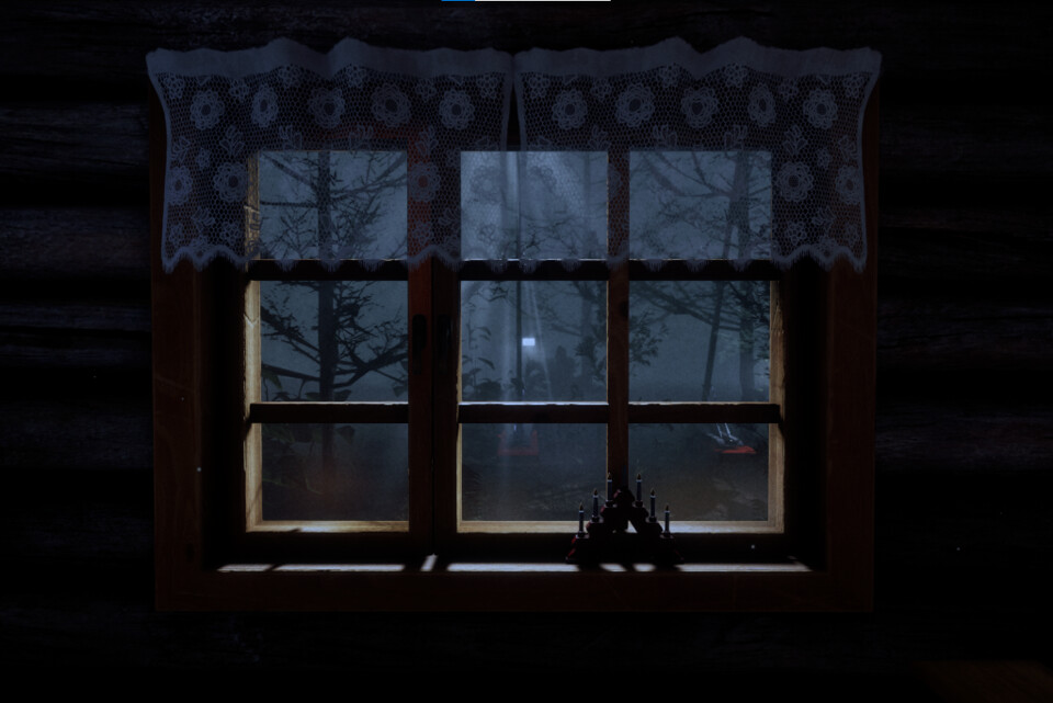 Finnish Cottage 8 - okno