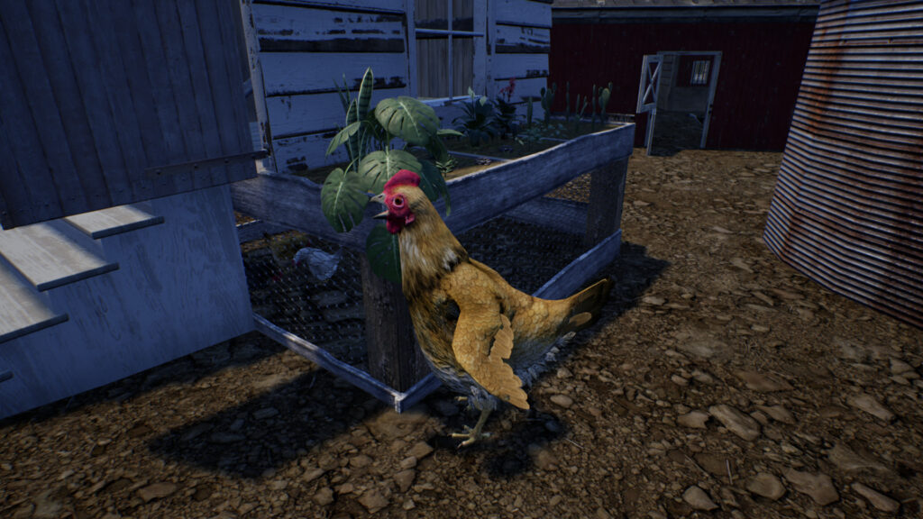 Ranch Simulator - slepice
