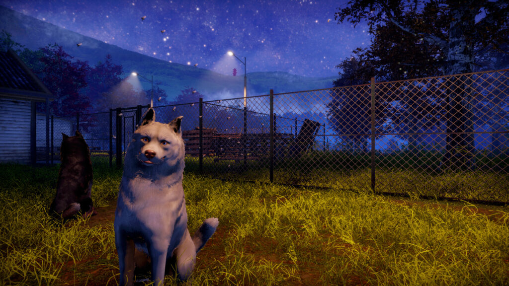 Animal Shelter 2 - pes
