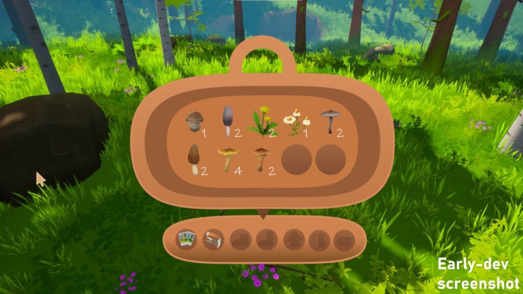 Out and About - houby