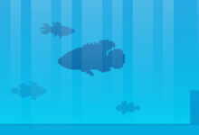 Tiny Aquarium Social Fishkeeping - recenze