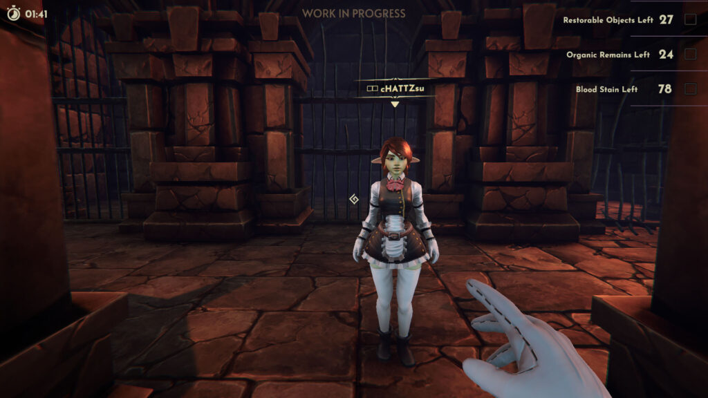 Goblin Cleanup - postava