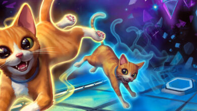 Schrodinger’s Cat Burglar - recenze